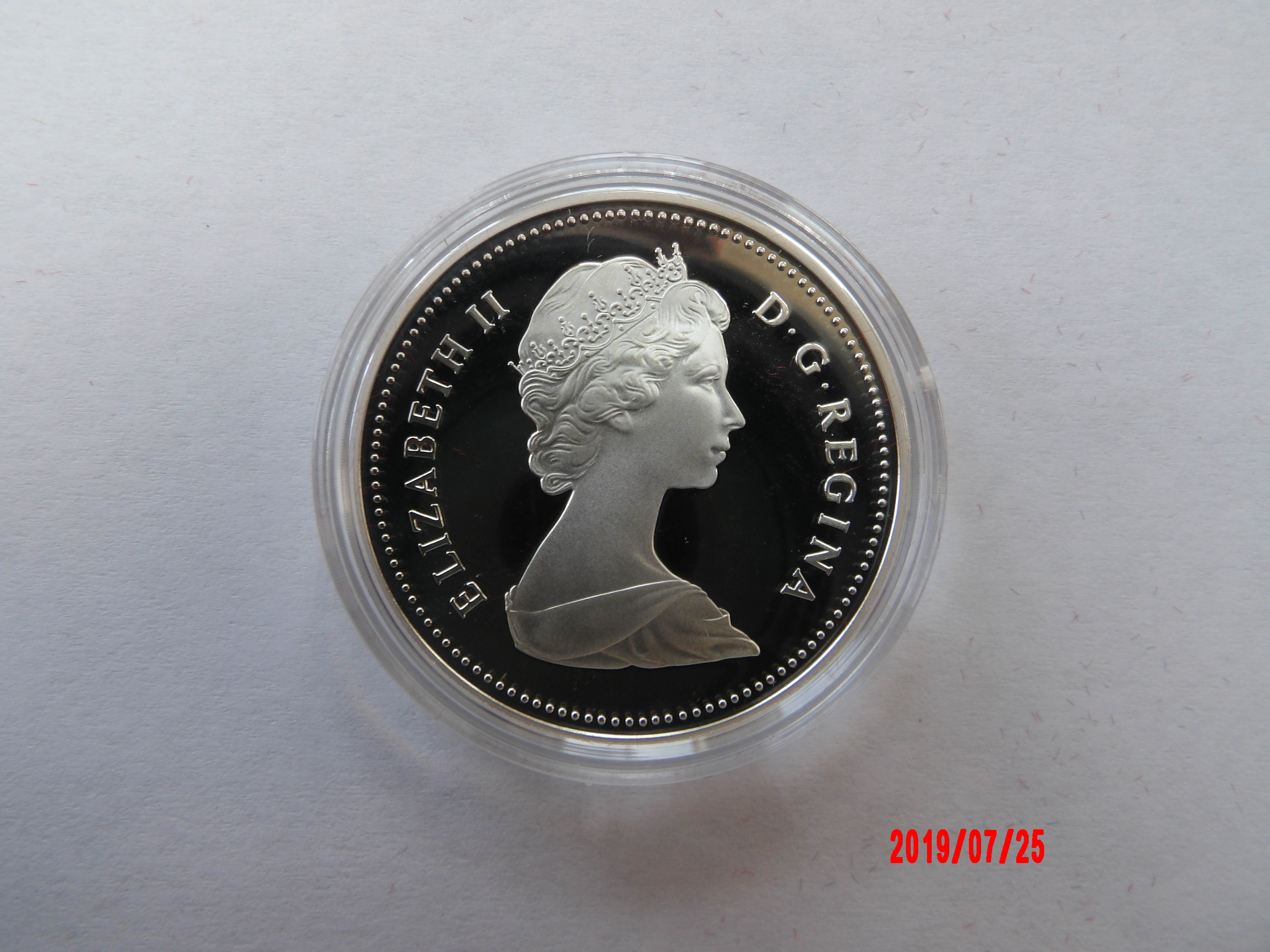 CANADA, Dollar, 1981, AR Proof * - Image 4