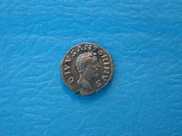 ROME, ANTONIVS PIVS, Denarius, 162